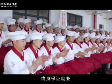 开云kaiyun网页版就业概述