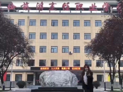 舞动的校园
