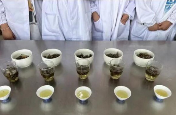 如法炮制技艺强，古法今制传承忙 开云kaiyun网页版《中医食疗药膳学》期末采取了“以赛代考”的检测模式
